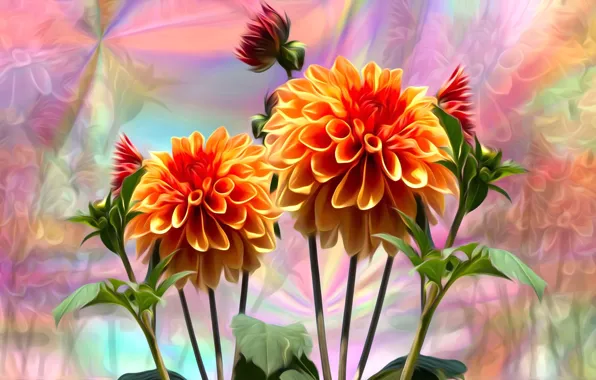 Picture leaves, flowers, rendering, background, stems, petals, buds, dahlias