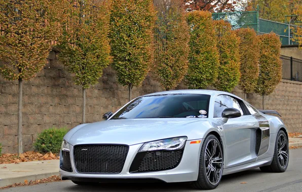 Picture Audi, V10, R8