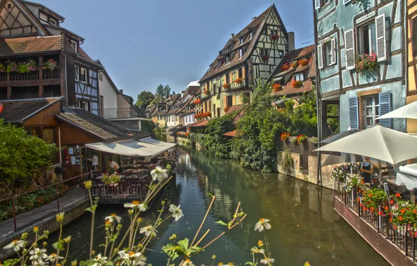 Picture flowers, France, home, channel, cafe, canopy, Alsace, Alsace