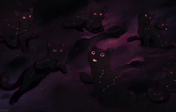 Picture cat, constellation, by MarikBentusi
