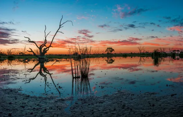 Picture Australia, Campbell's Swamp, Lake Wyangan