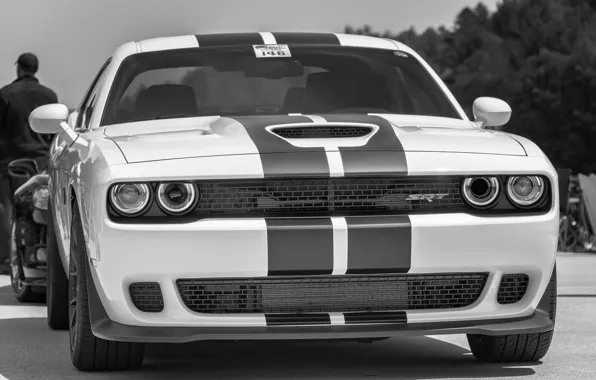 Download wallpaper Dodge, Challenger, Hellcat, SRT, section dodge in ...