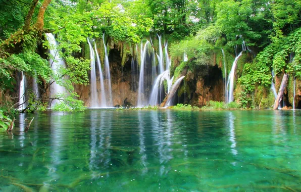 Forest, water, waterfall