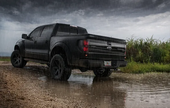 The sky, grass, water, clouds, rain, black, tuning, Ford