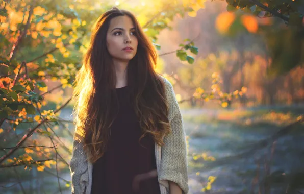 Picture autumn, forest, girl, mood, foliage, brunette, long-haired