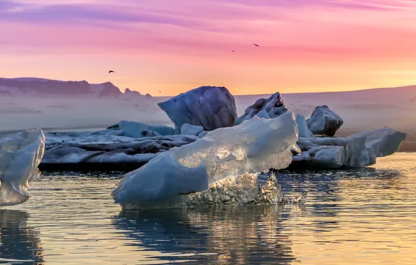 Winter, the sky, water, light, birds, dawn, shore, ice