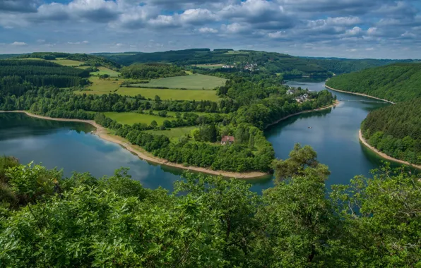 Forest, trees, lake, panorama, Luxembourg, Luxembourg, reservoir, Lake Haute-Sûre