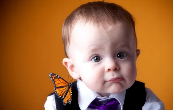 Mood, butterfly, portrait, boy