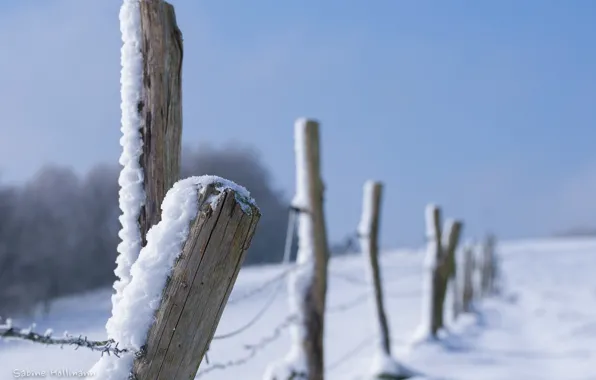Winter, snow, close-up, the fence, fence, barbed wire