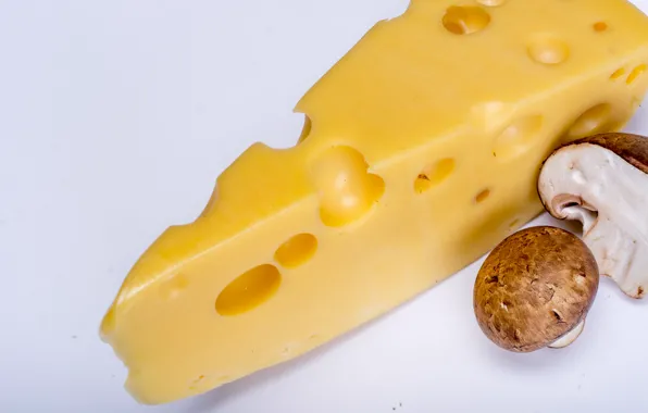 Background, food, cheese, pepper, Studio
