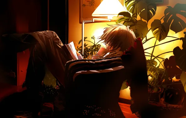 The evening, anime, book