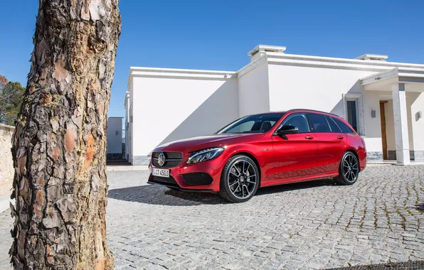 Picture red, Mercedes-Benz, Mercedes, universal, C-Class, S205