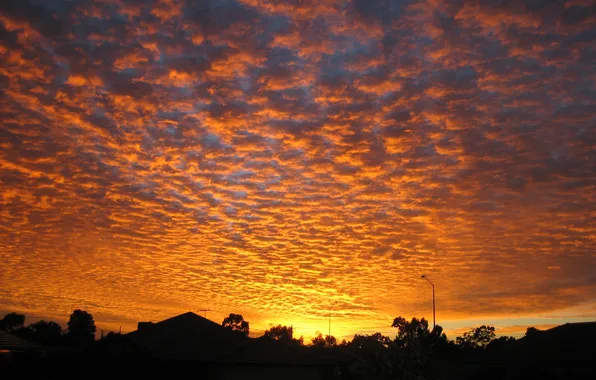 Picture Sunset, Australia, Suburban, Homes, Perth