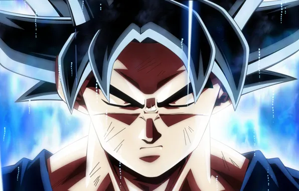 DBS, anime, manga, Son Goku, Dragon Ball, Goku, Dragon Ball Super, japonese