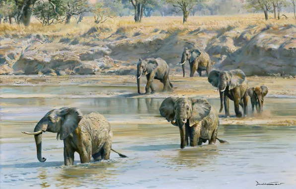 River, Picture, Elephants, Donald Grant, British animal artist, Donald Grant, Elephants cross the river