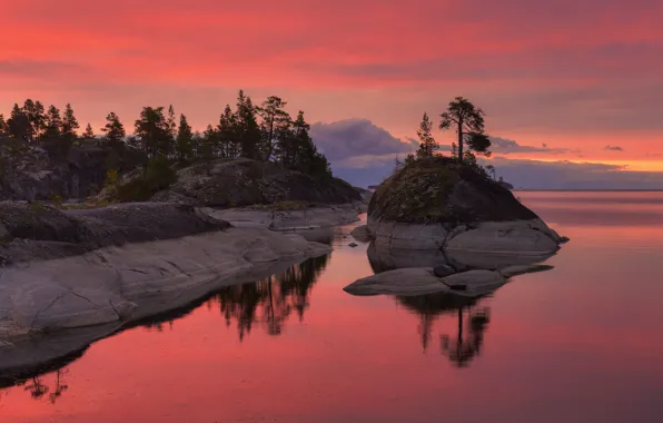 Trees, landscape, sunset, nature, stones, Lake Ladoga, Ladoga, Skerries