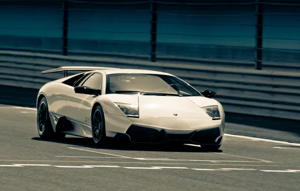 Picture white, track, Lamborghini, white, track, Lamborghini, Murcielago, LP670-4