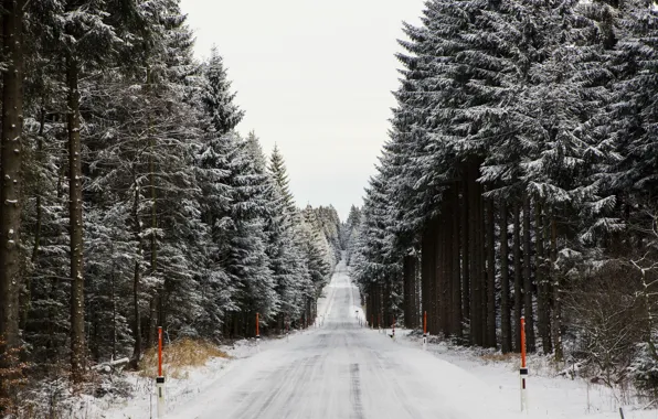 Picture winter, road, forest