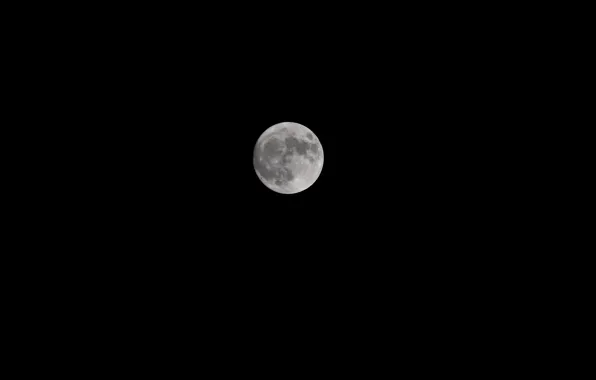 The moon, satellite, moon