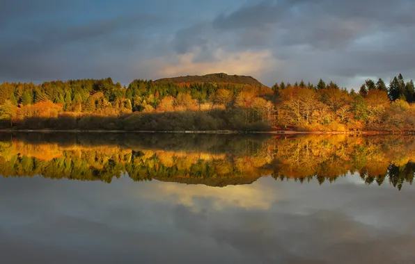 Autumn, forest, the sky, clouds, light, trees, mountains, lake