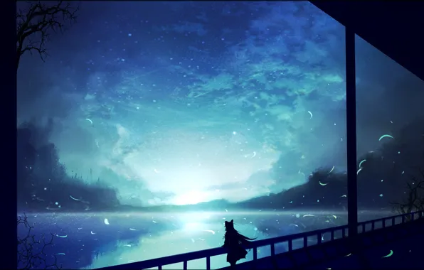 Night, silhouette, girl, Touhou, Touhou