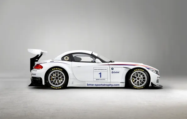 Picture bmw, gt3