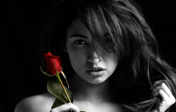 Girl, mood, rose