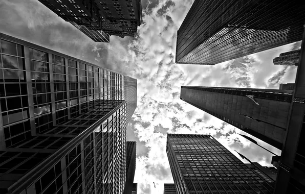 The sky, clouds, building, skyscrapers