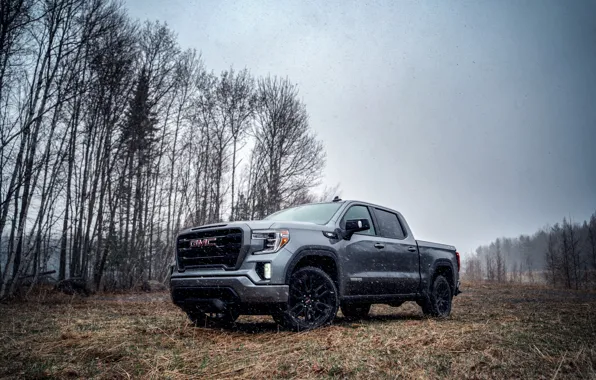 Snow, overcast, pickup, 2018, GMC, Sierra, Crew Cab, 2019