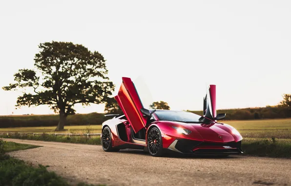 Lamborghini, Aventador, LP750-4 SV, Dark Red