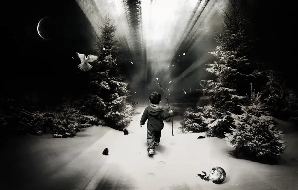 Picture forest, snow, one, trail, boy, child