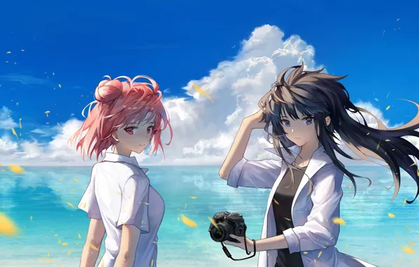 Summer, girls, the ocean, the camera, Oregairu, Pink Time Of My School Life A Fraud
