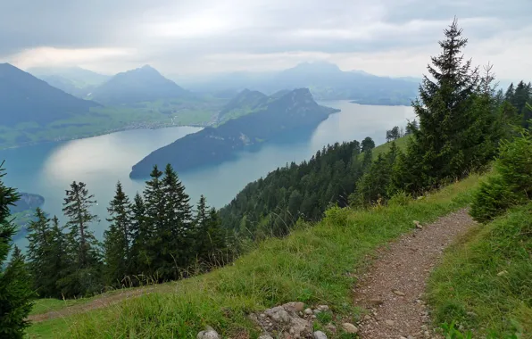 Trees, mountains, river, Switzerland, panorama, path, the view from the top, Scheidegg