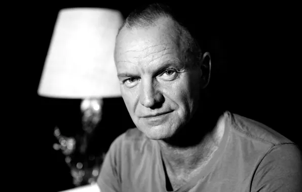 Wallpaper Jazz, Rock, Pop, Sting, New Age, Gordon Matthew Thomas.