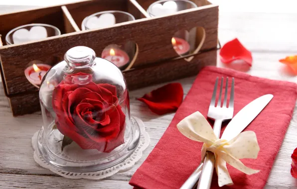 Romance, rose, candles, love, rose, romantic, candle, serving