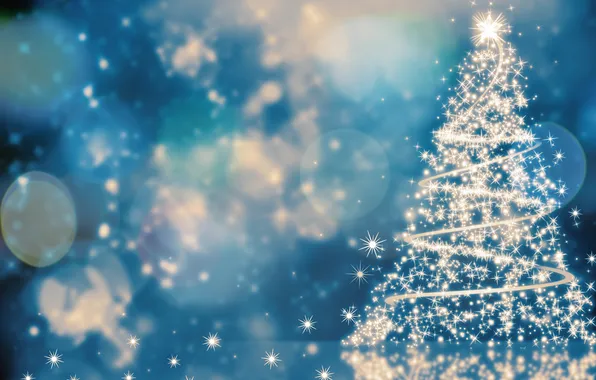 Holiday, tree, lights, Christmas