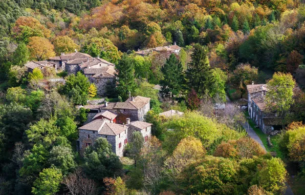 Autumn, forest, trees, France, home, the view from the top, The Estrechure