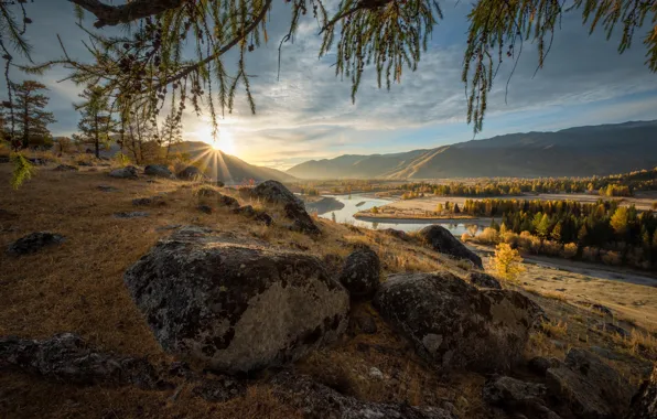 Picture autumn, the sun, landscape, mountains, branches, nature, river, stones