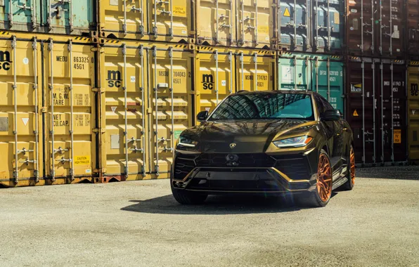 Lamborghini, Urus, VAG, Container, Bronze