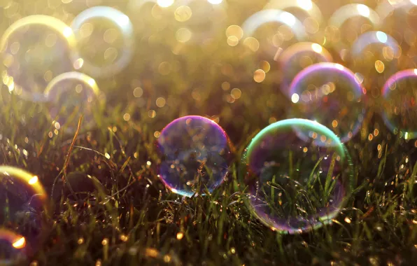 Grass, colored, bubbles, bokeh