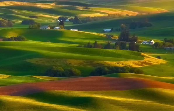 Picture Washington, countryside, Palouse, hills in eastern
