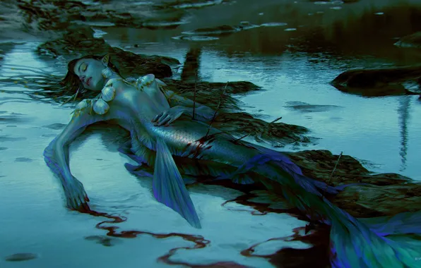 Mermaid, arrows, blood