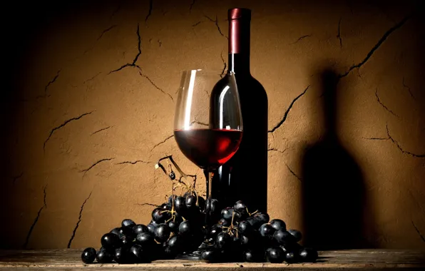 Bottle, Wall, Shadow, Glass, Wine, Grapes