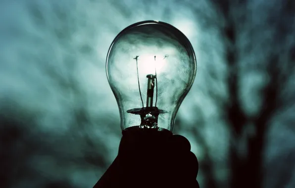 Picture light bulb, color, photo, background, Wallpaper, different