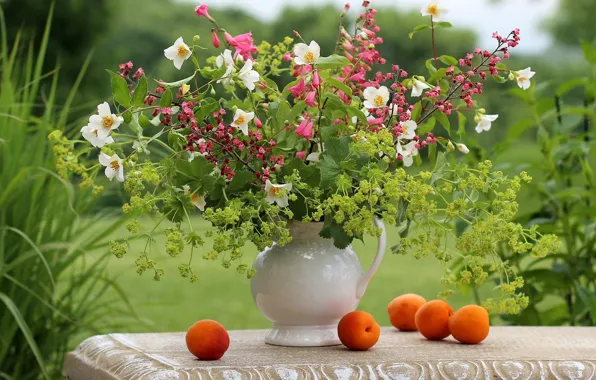 Summer, bouquet, apricots, Jasmine