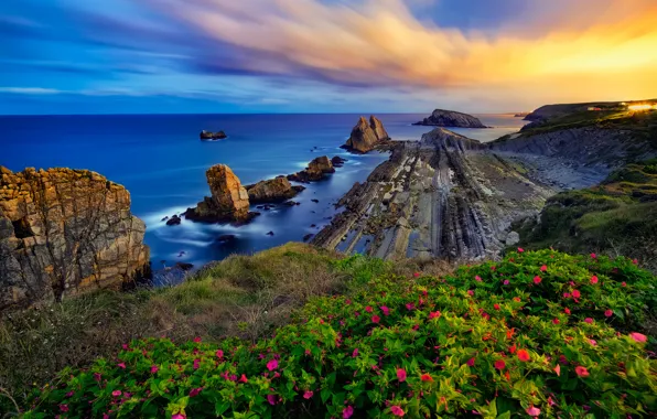Sea, sunset, flowers, rocks, coast, Spain, Spain, Costa Quebrada