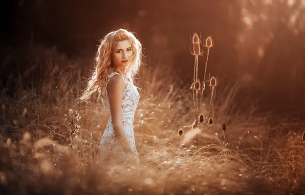 Picture girl, light, nature