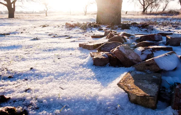 Winter, the sun, snow, tree, foliage, Dawn, bricks, rays of light