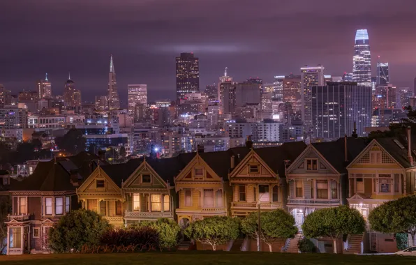 Picture trees, building, home, CA, San Francisco, night city, skyscrapers, California
