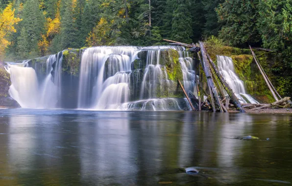 Autumn, forest, rocks, waterfall, logs